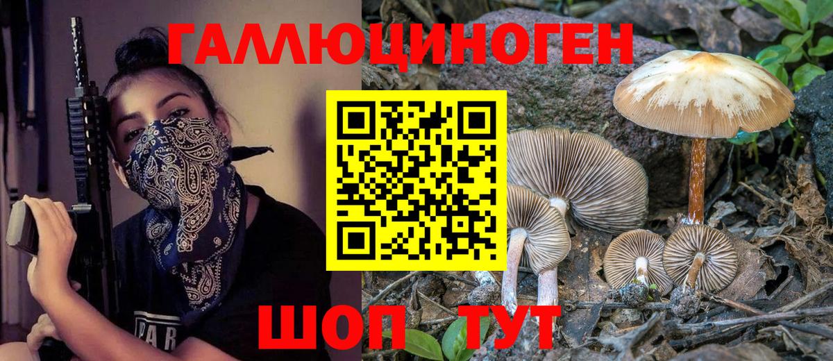 Галлюциногенные грибы MAGIC MUSHROOMS Кимовск