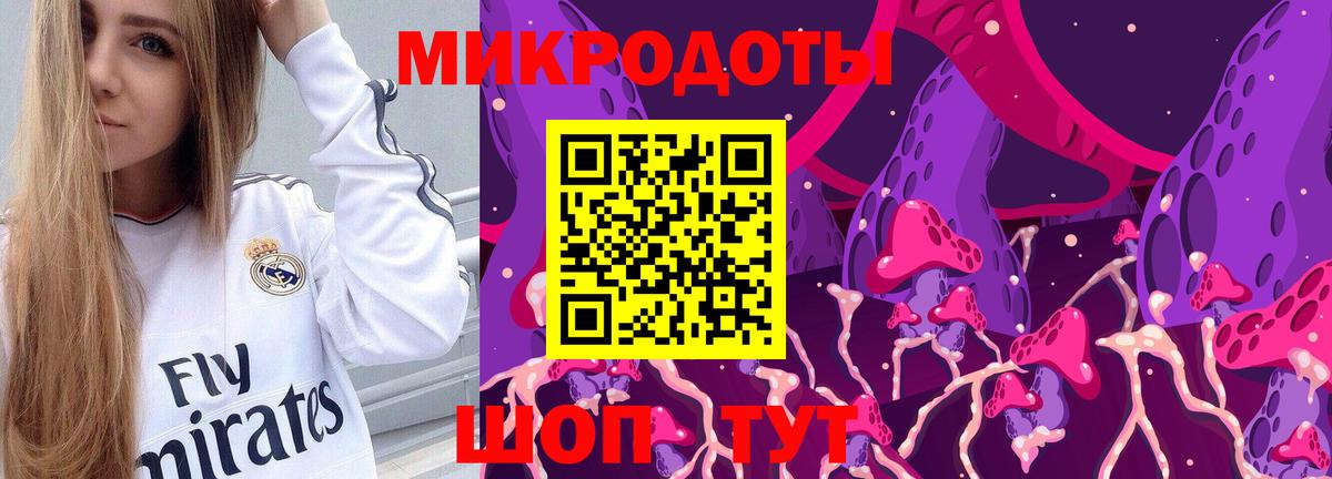 Кимовск  Псилоцибиновые грибы прущие грибы  купить наркоту  Вход с VPN 